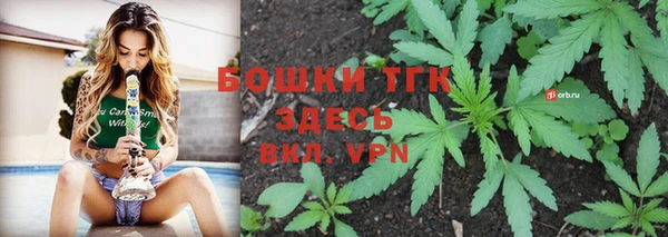 индика Баксан