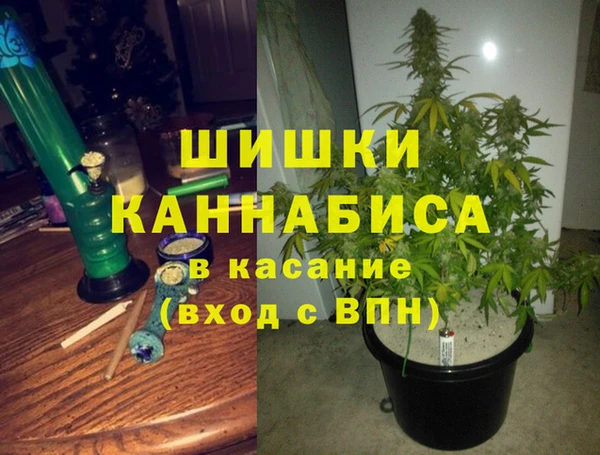 трава Аркадак